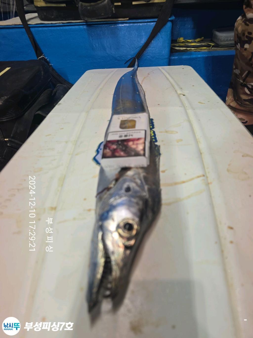 F2592968FJ.jpg