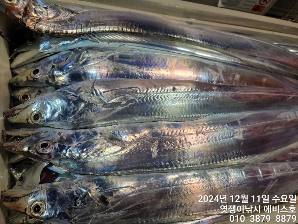 F2593113J0.jpg