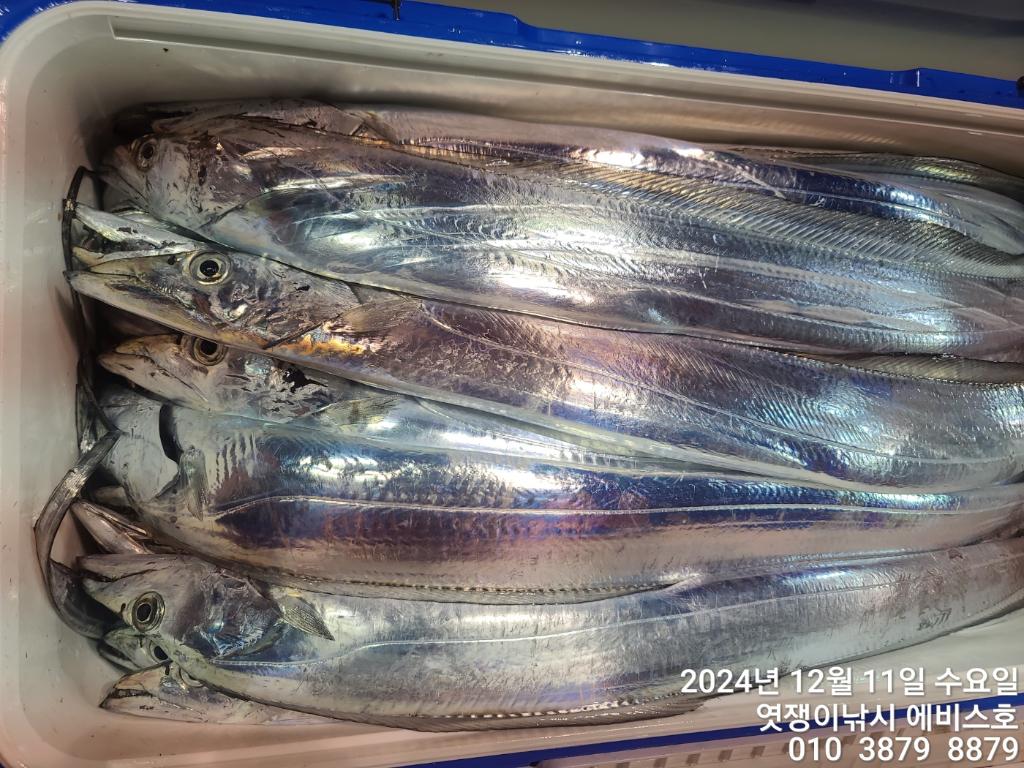 F2593125LX.jpg