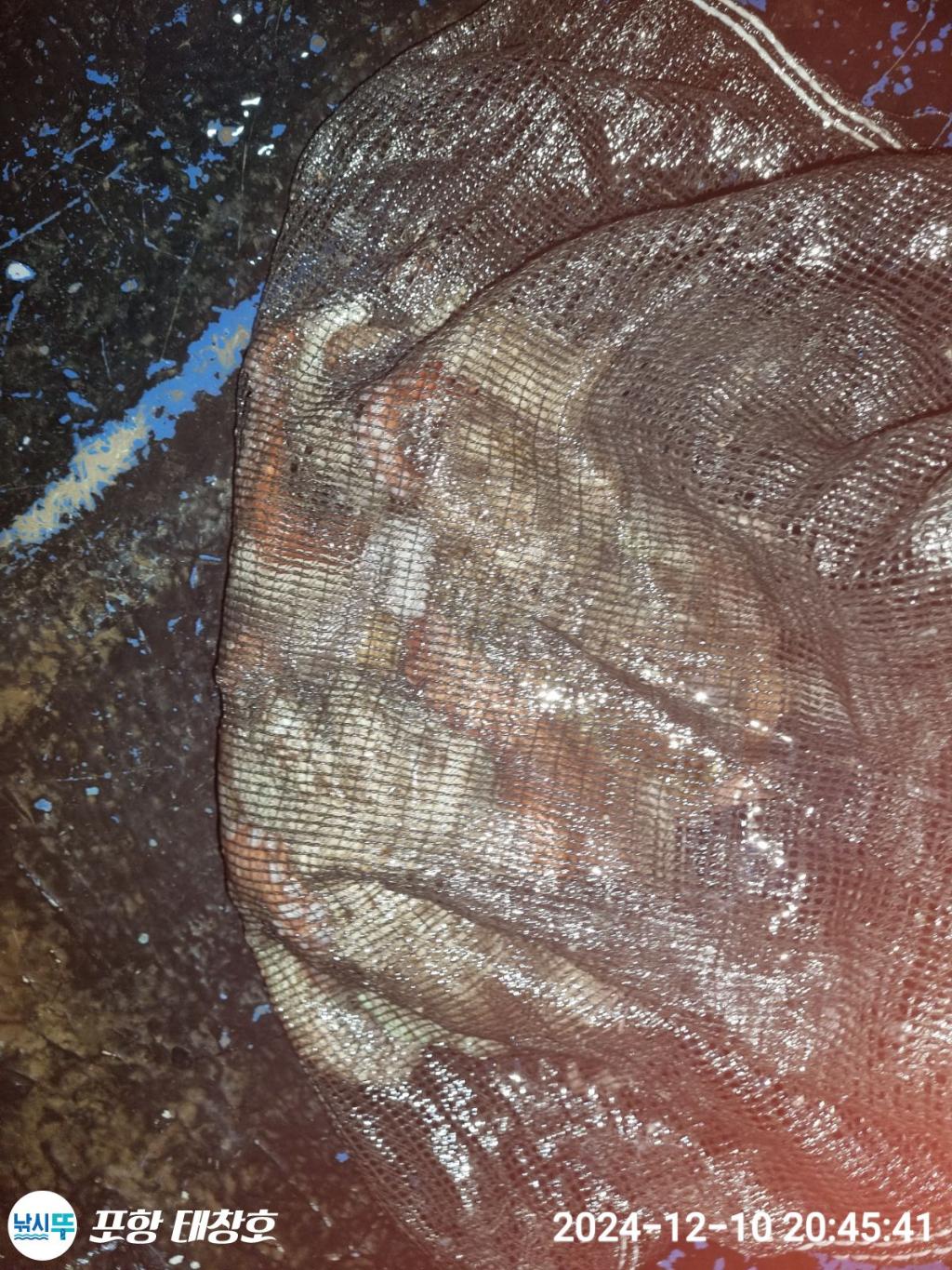 F2593331GE.jpg