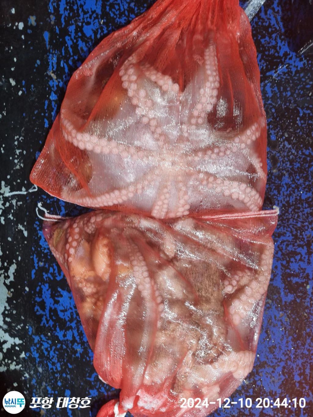 F2593337X1.jpg
