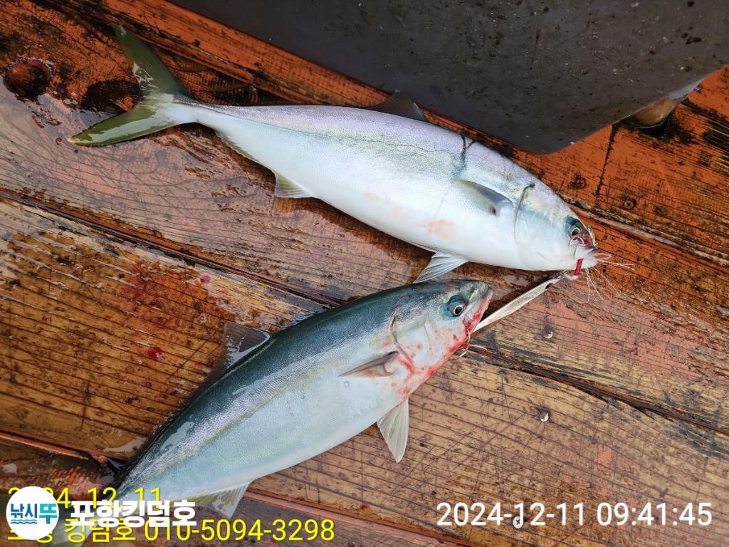 F2593448WY.jpg
