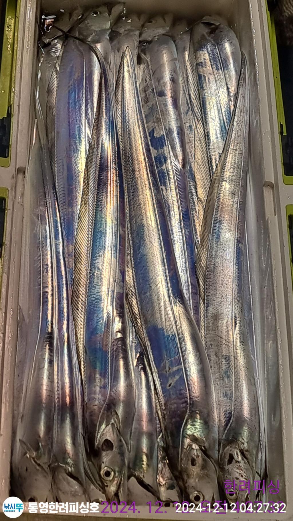 F2593907QX.jpg