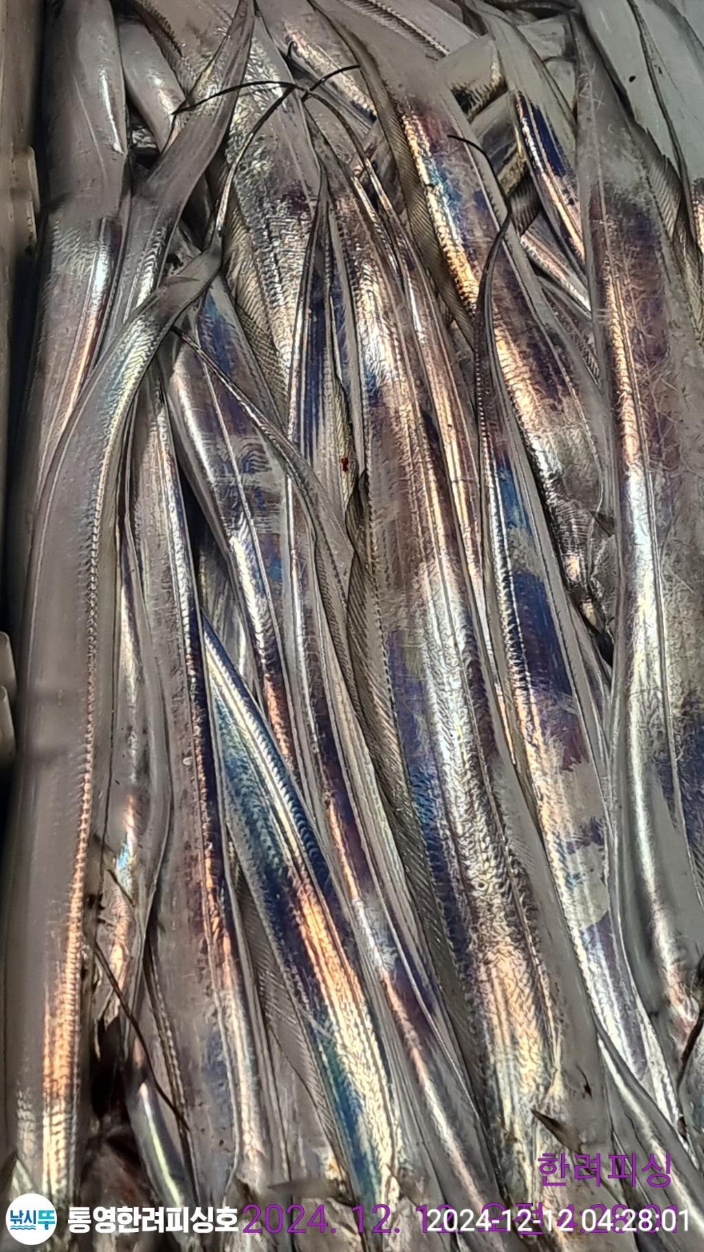 F259391275.jpg