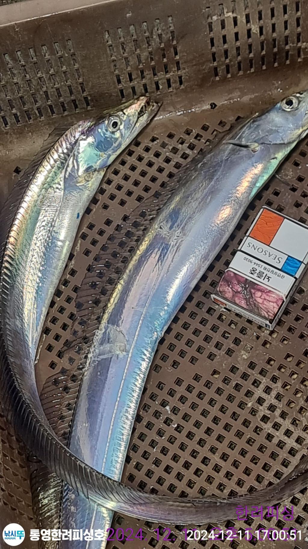 F2593915AB.jpg