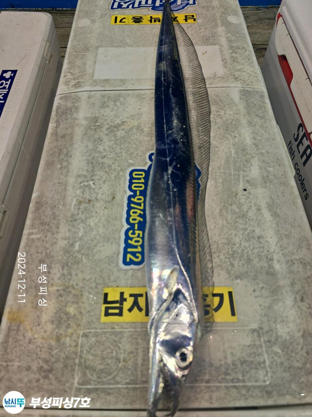F2594015YB.jpg