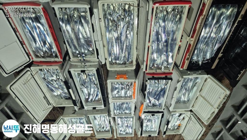 F2594070SF.jpg