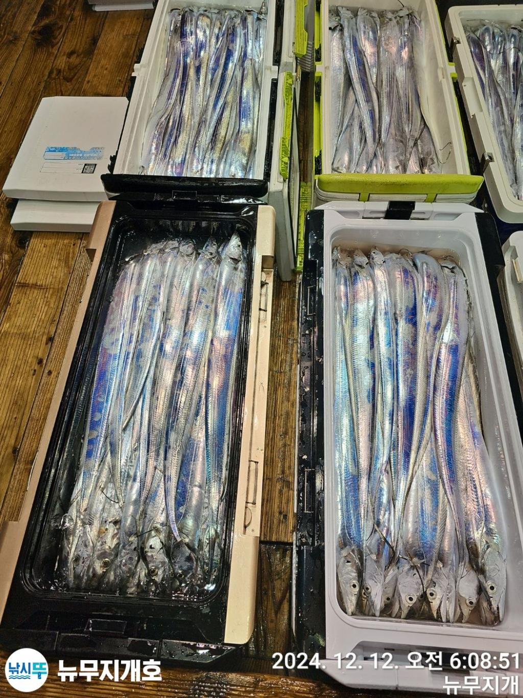 F2594474DU.jpg