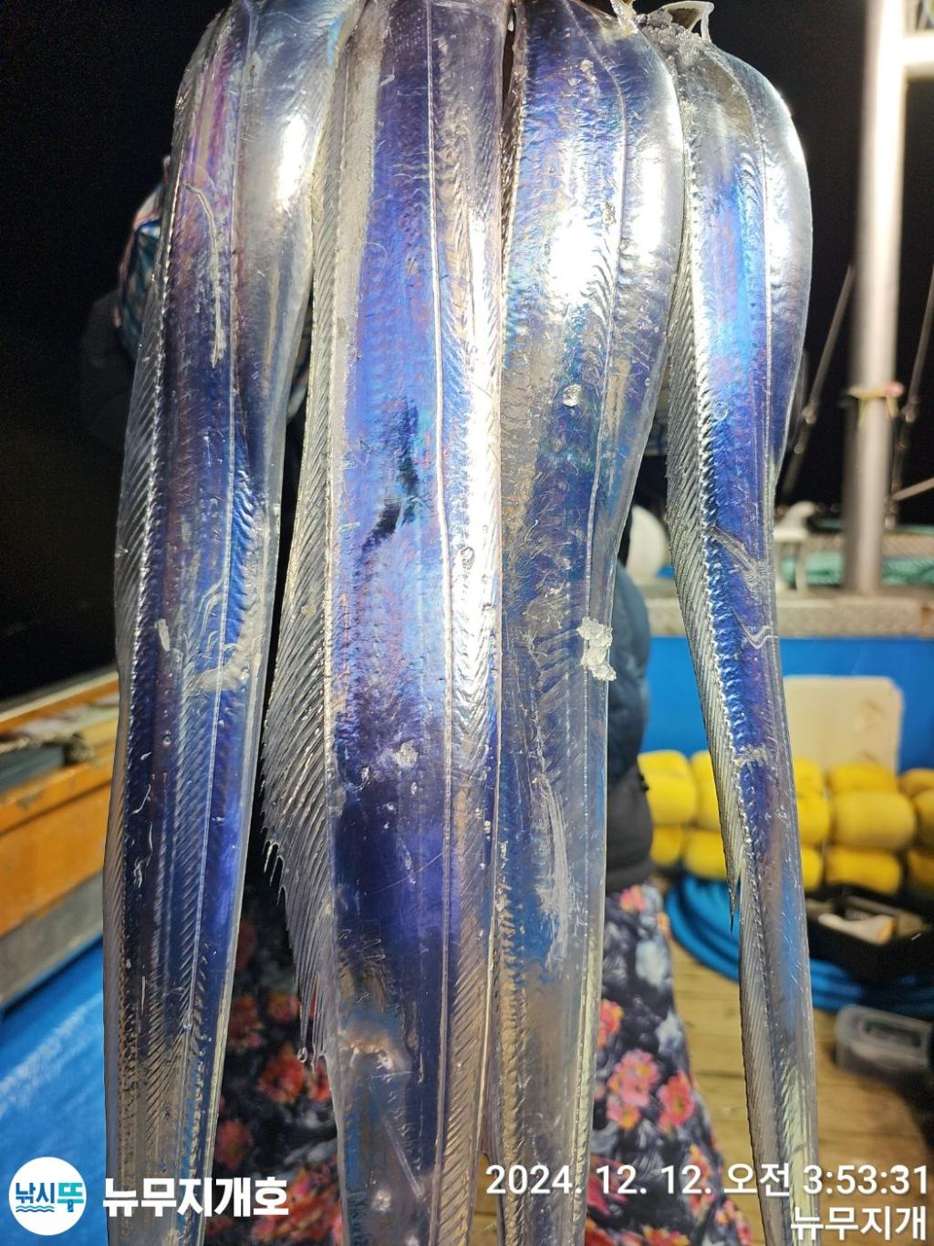 F2594487C8.jpg