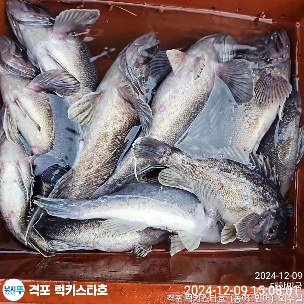 F2594654EC.jpg