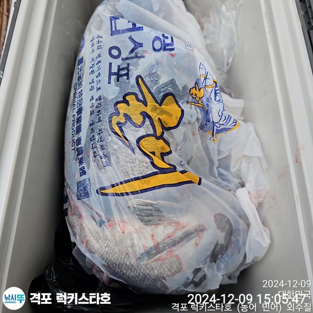 F25946589H.jpg
