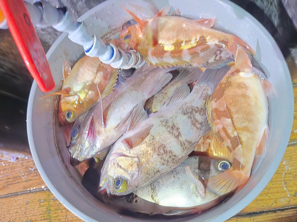 F2594836CR.jpg