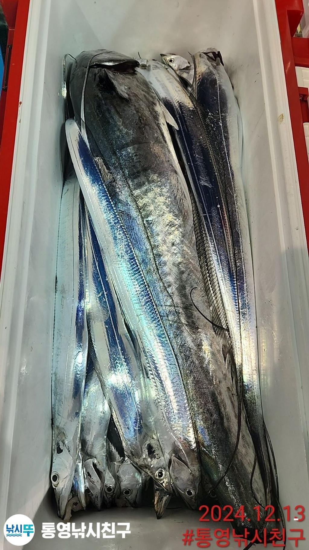 F259495021.jpg