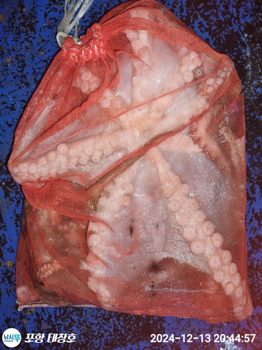 F259547336.jpg