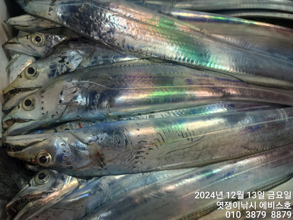 F2595524K2.jpg