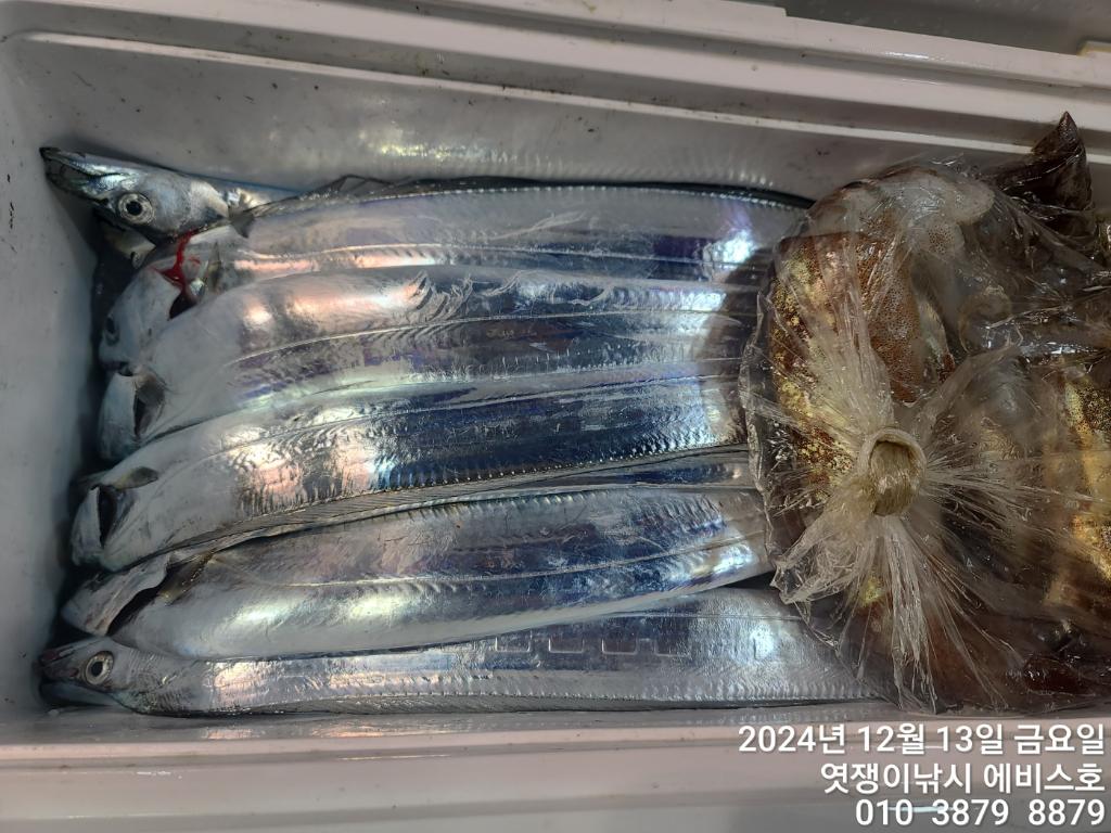 F2595530KR.jpg