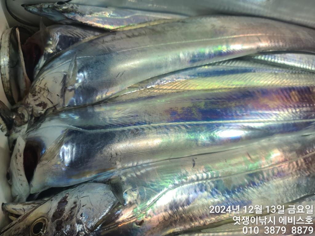 F2595531P5.jpg