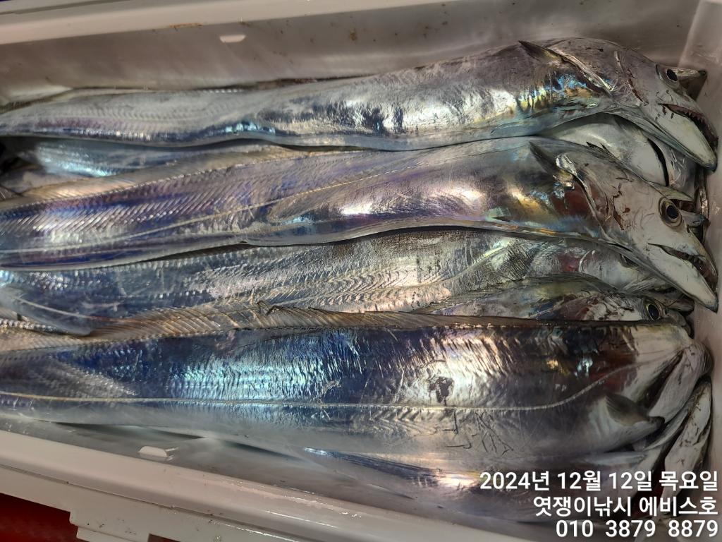 F259557089.jpg
