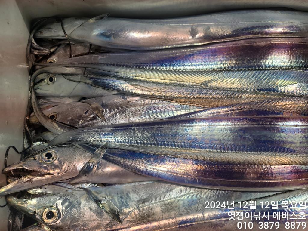 F259557390.jpg