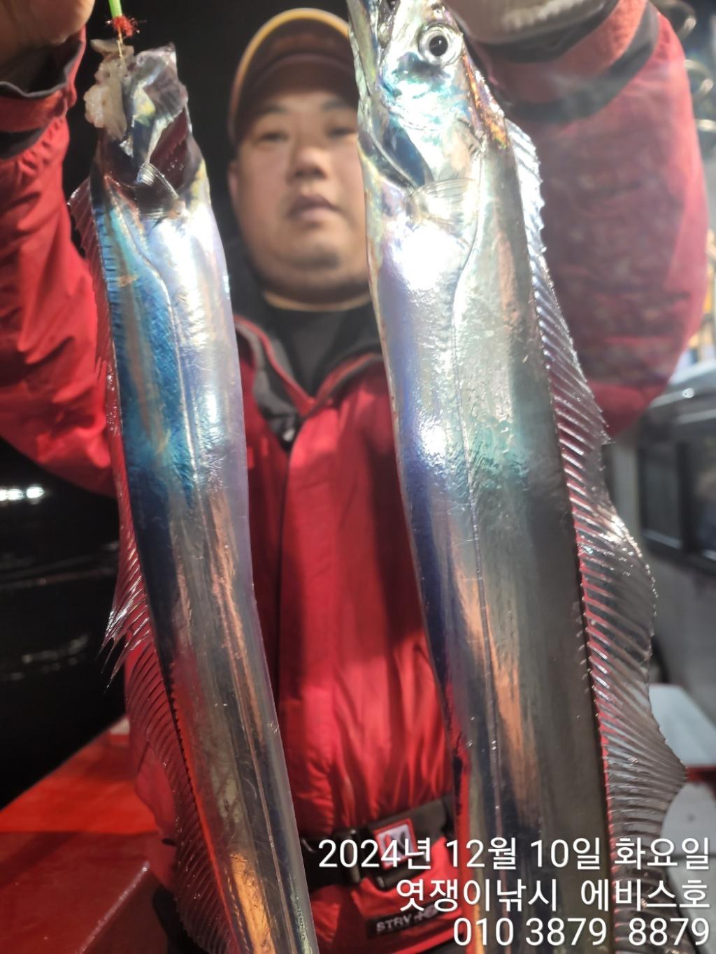 F2595584QT.jpg