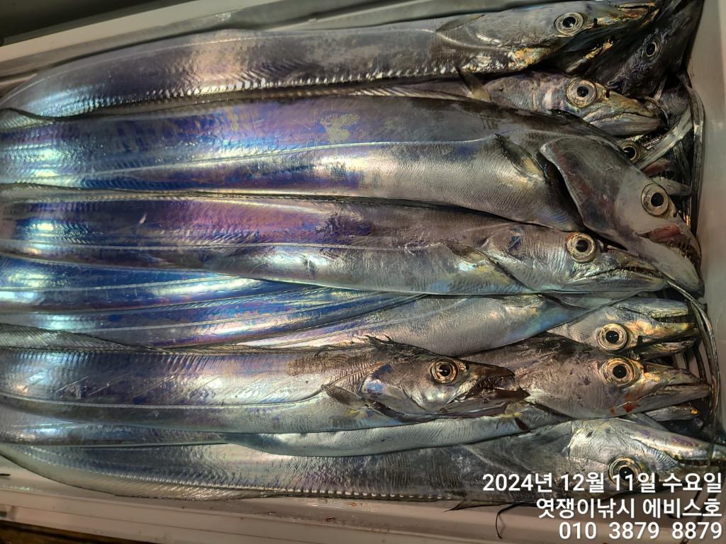 F2595596FQ.jpg