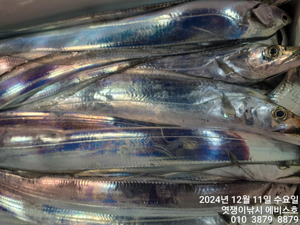 F25956004R.jpg