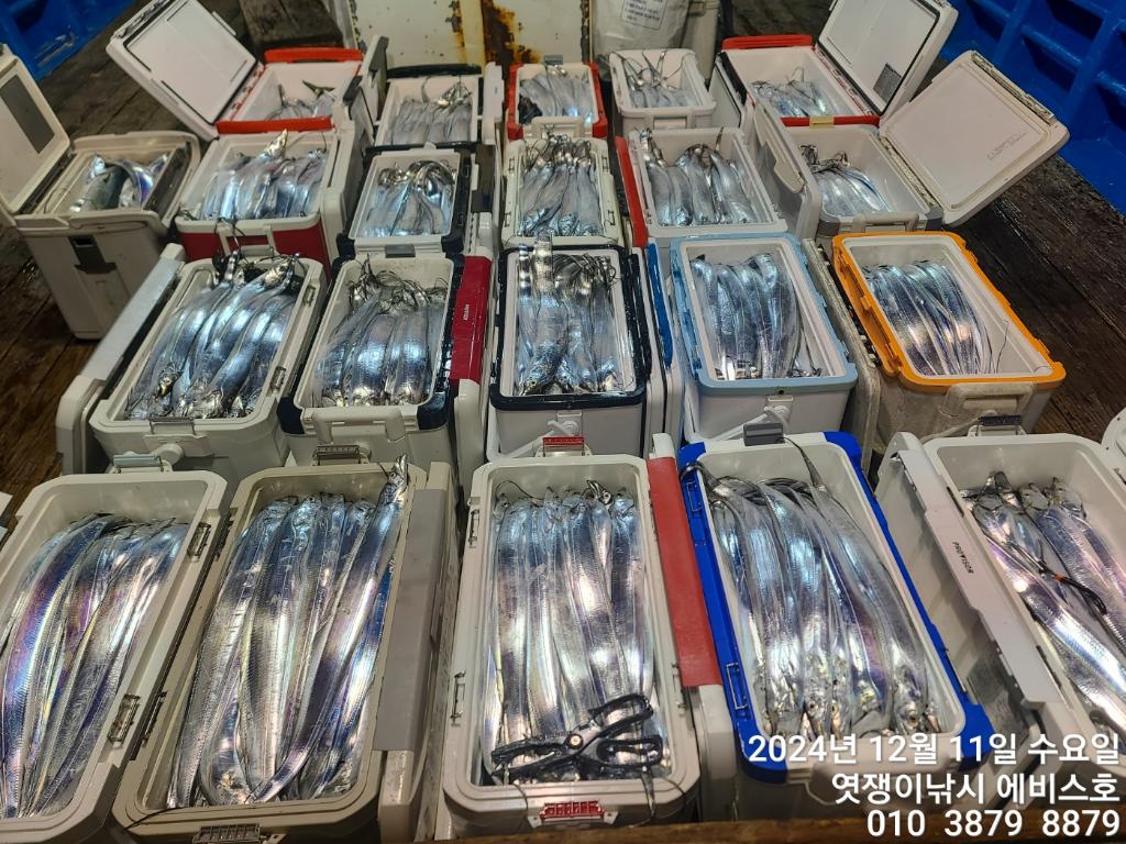 F259560821.jpg