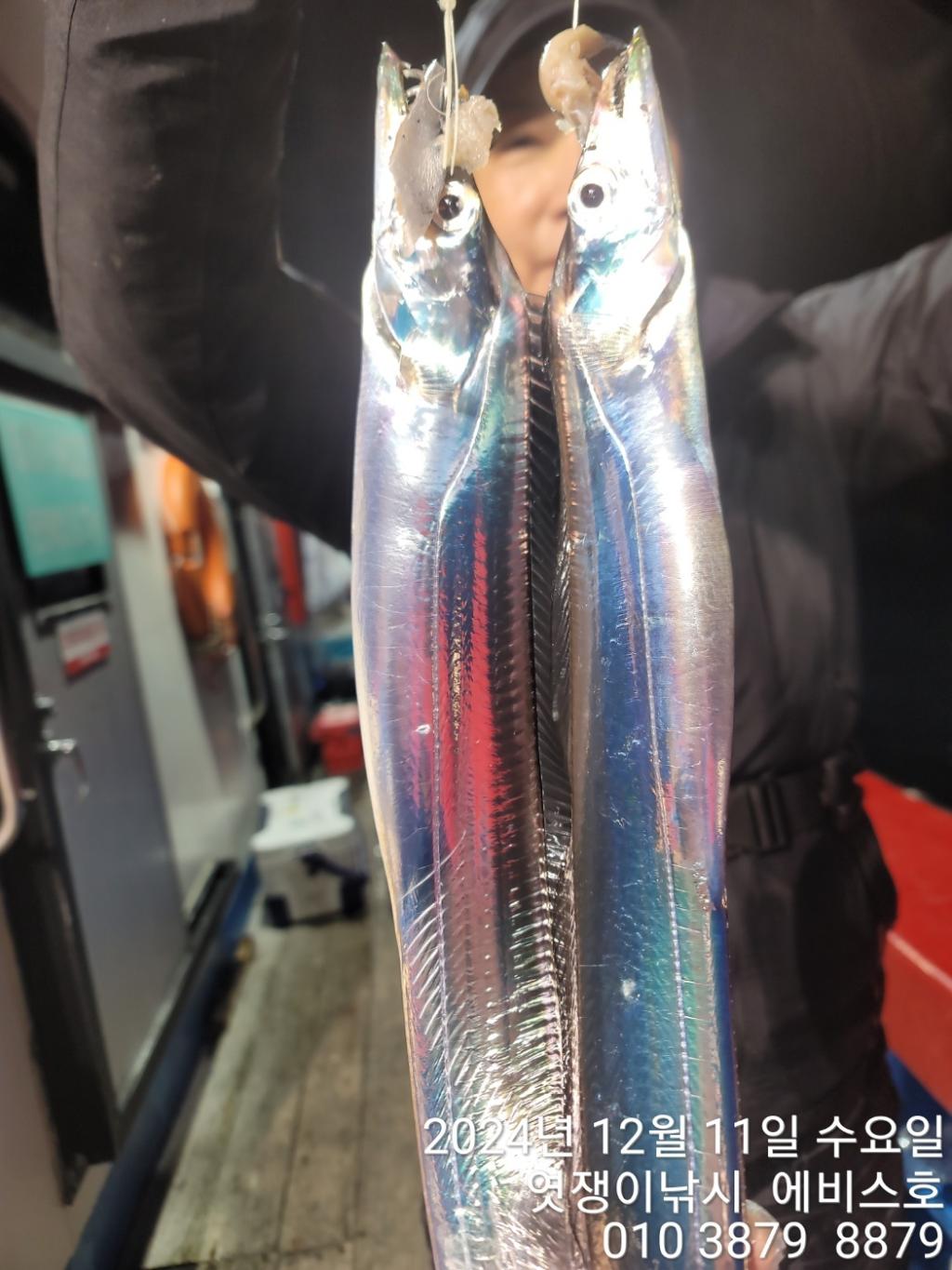 F2595558SX.jpg