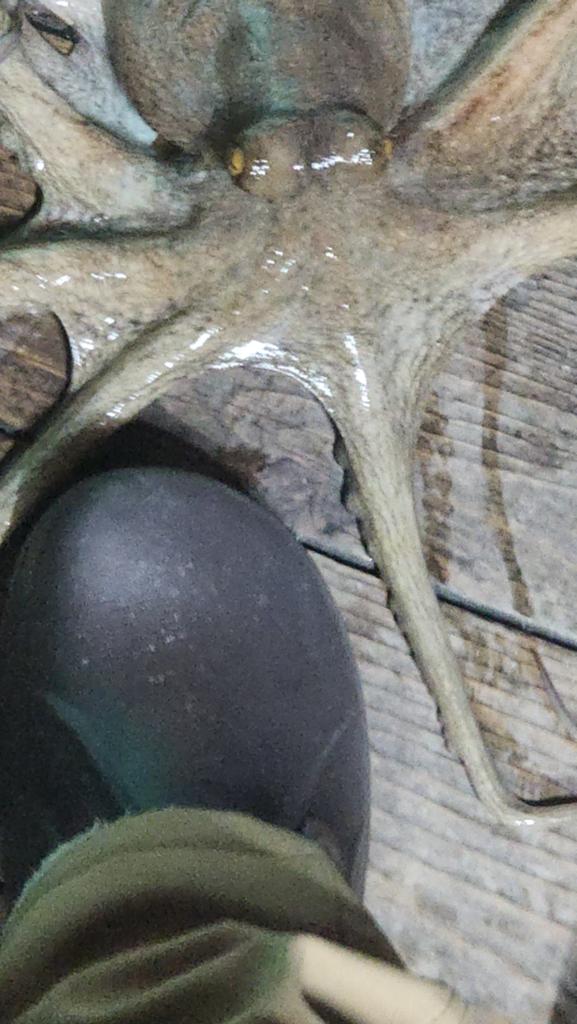 F259655467.jpg