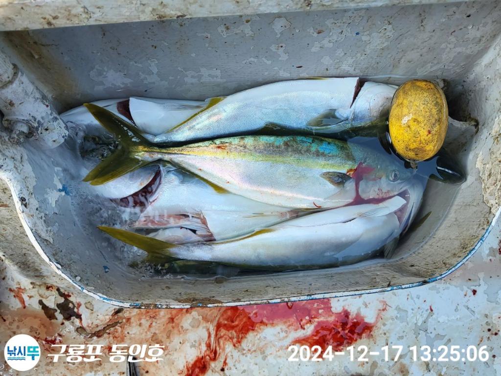 F2597414FN.jpg