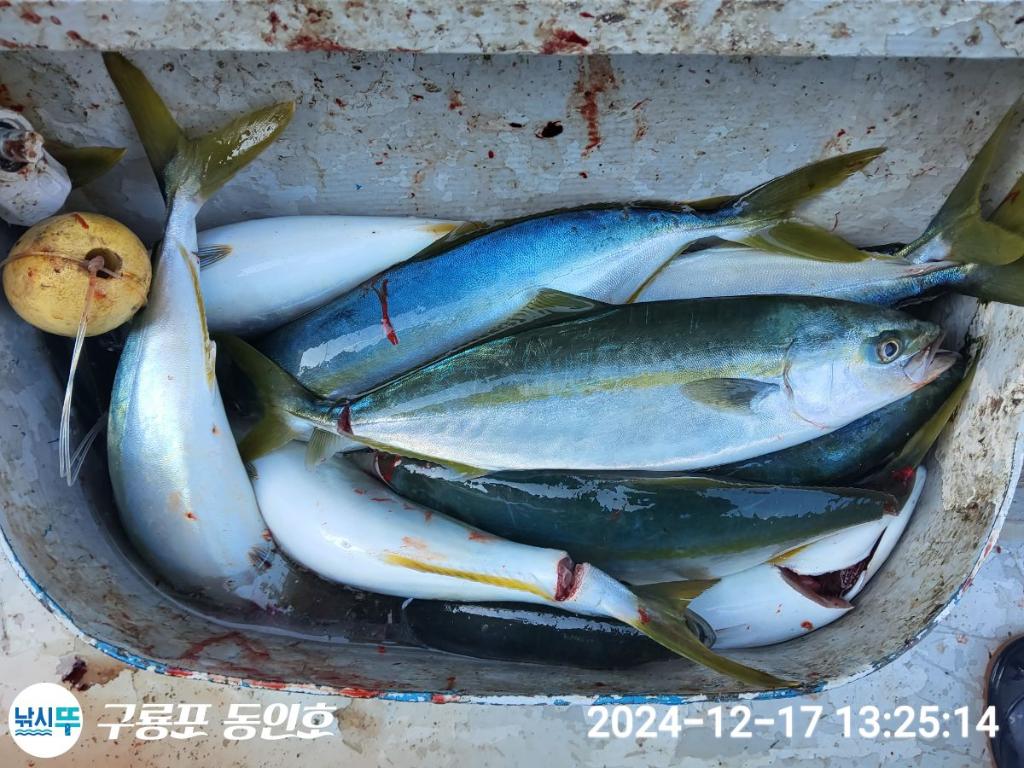 F2597415BZ.jpg