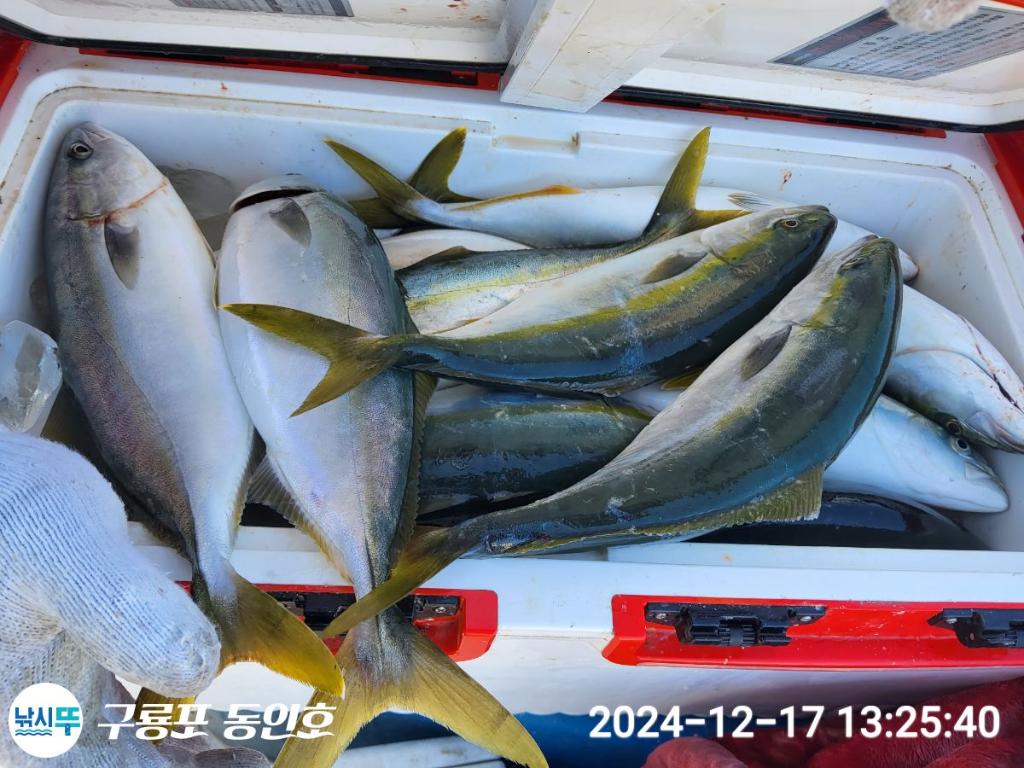 F2597418BZ.jpg