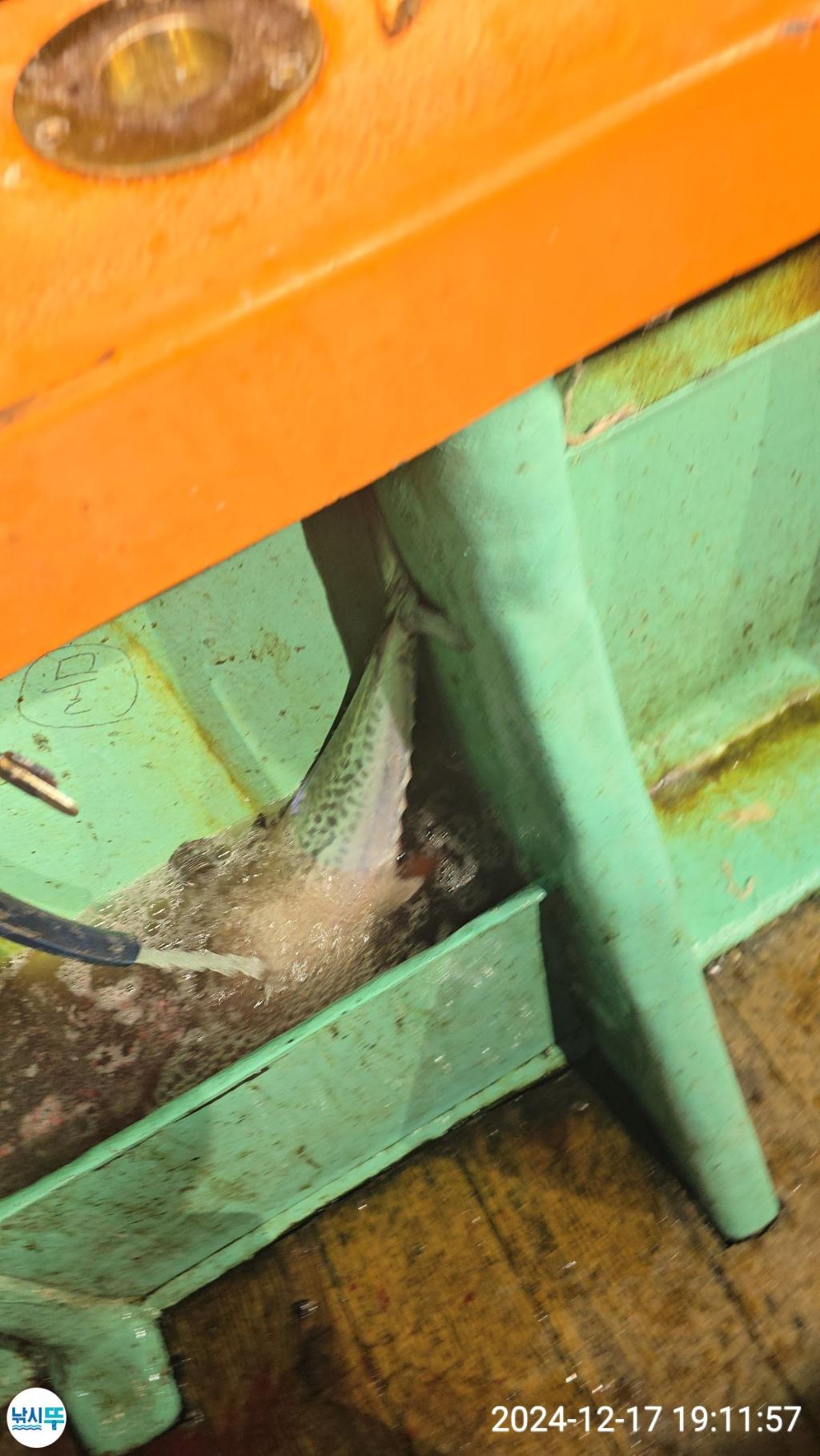 F2597514PS.jpg