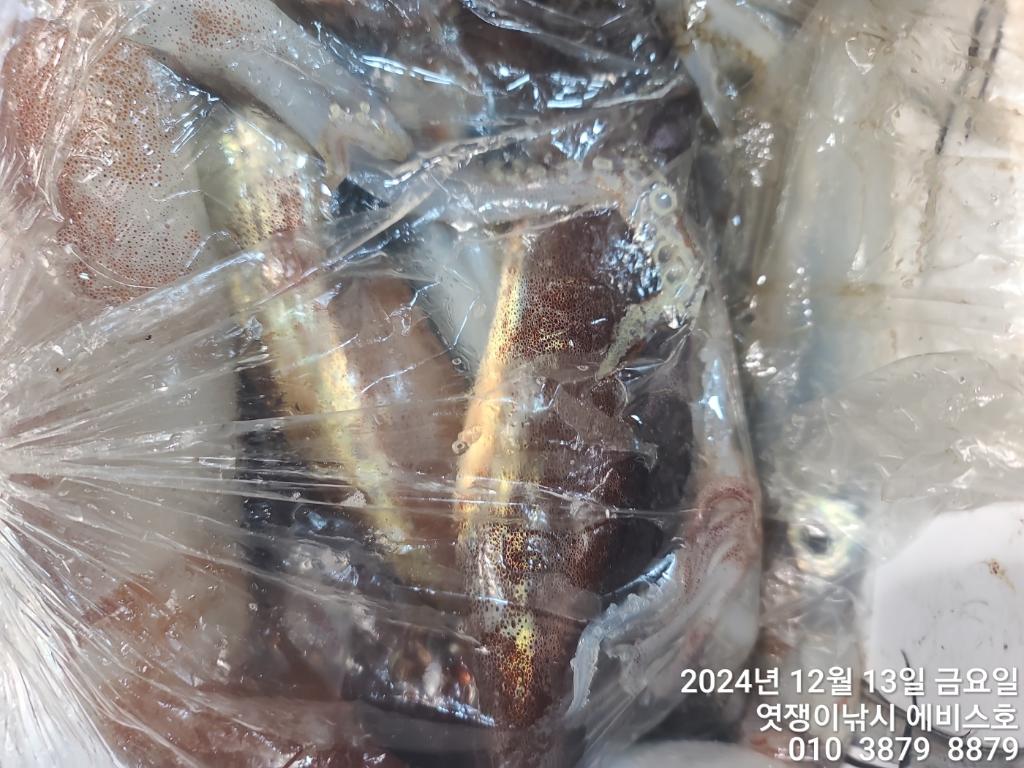 F2596843HR.jpg