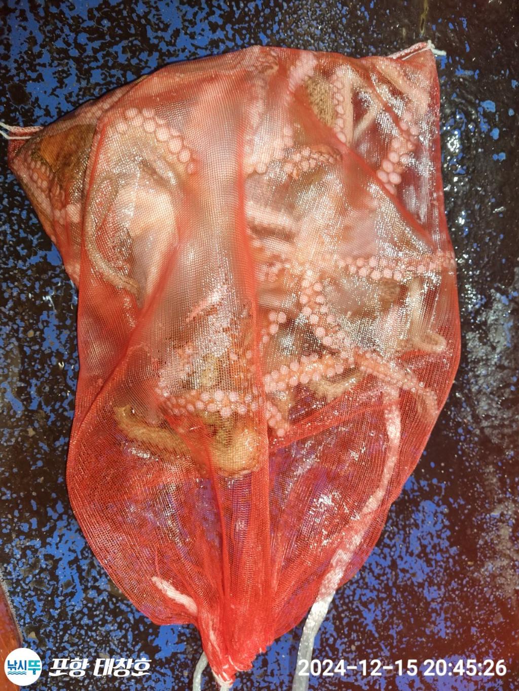 F2598009RC.jpg