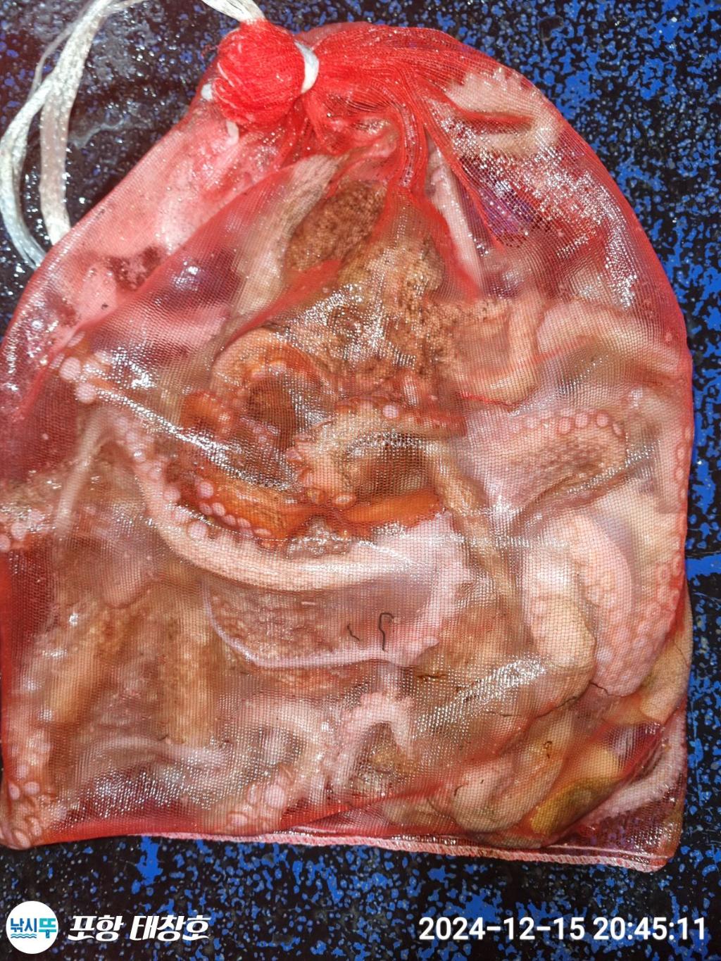 F2598012NG.jpg