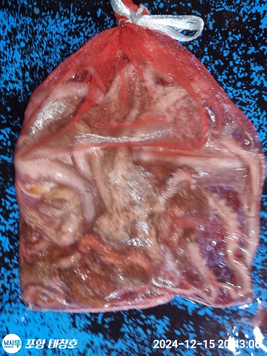 F25980189W.jpg