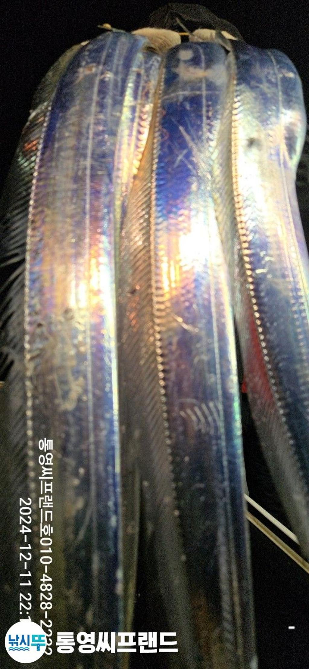 F2598417DY.jpg