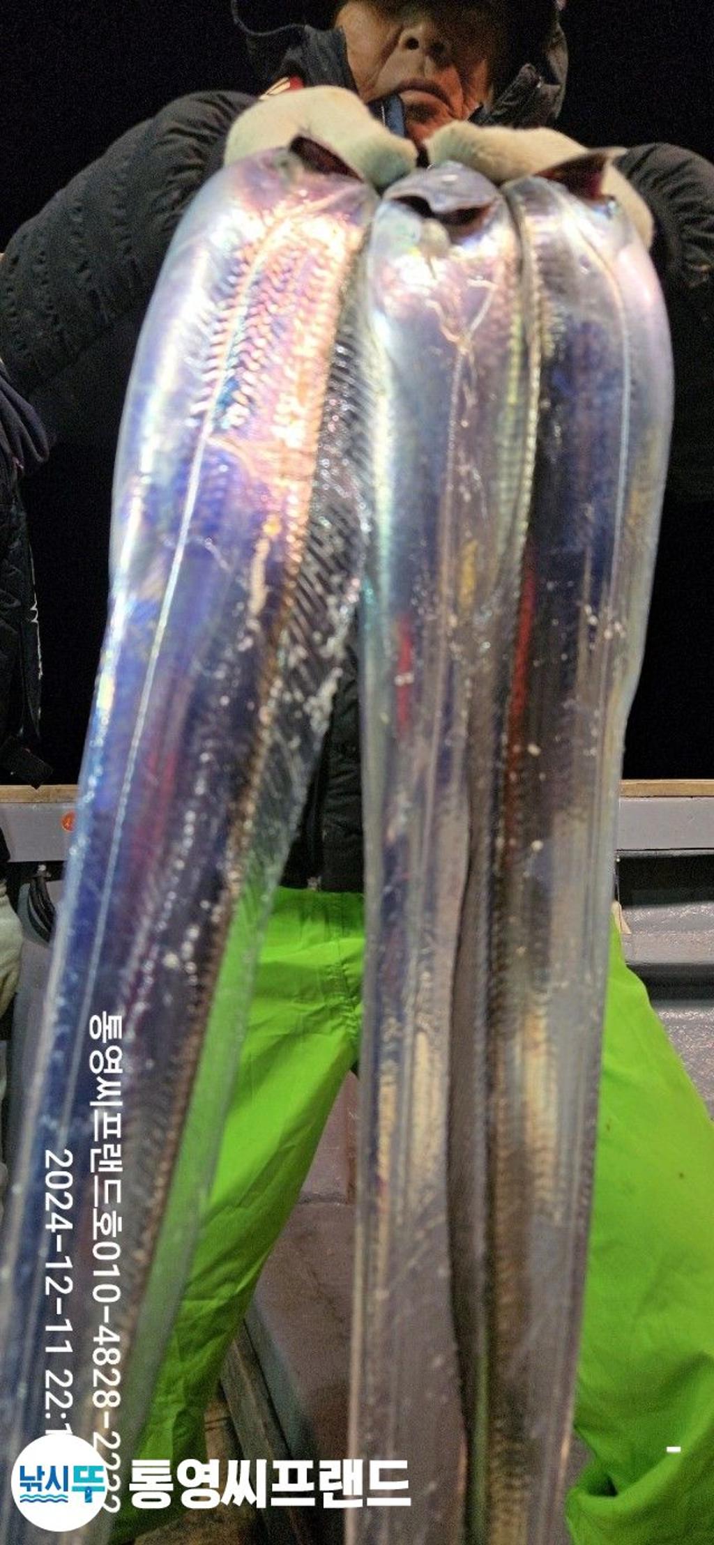F25984195Z.jpg