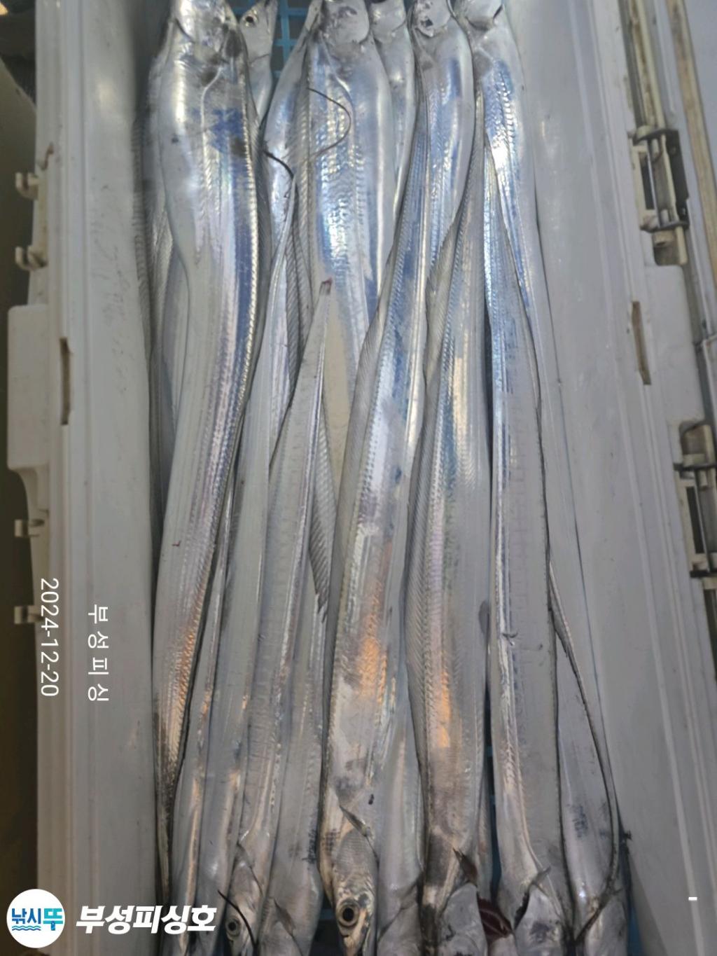 F2598565RE.jpg
