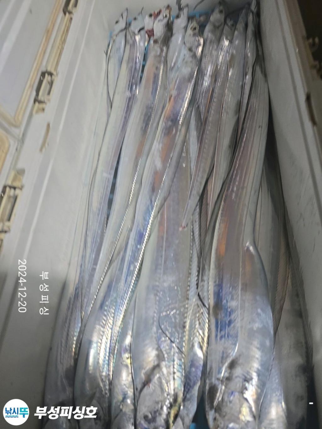 F2598566RB.jpg