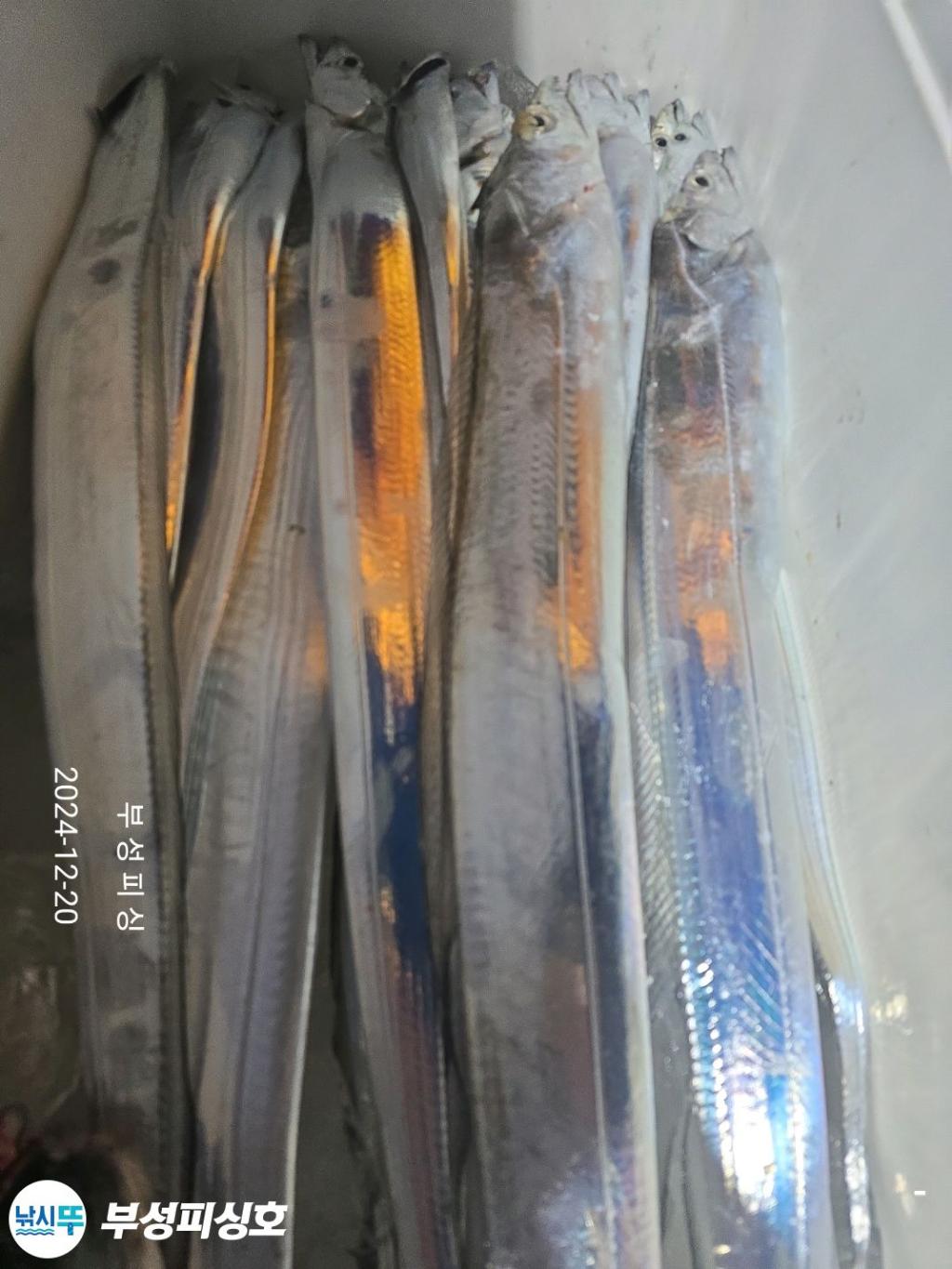 F2598567O3.jpg