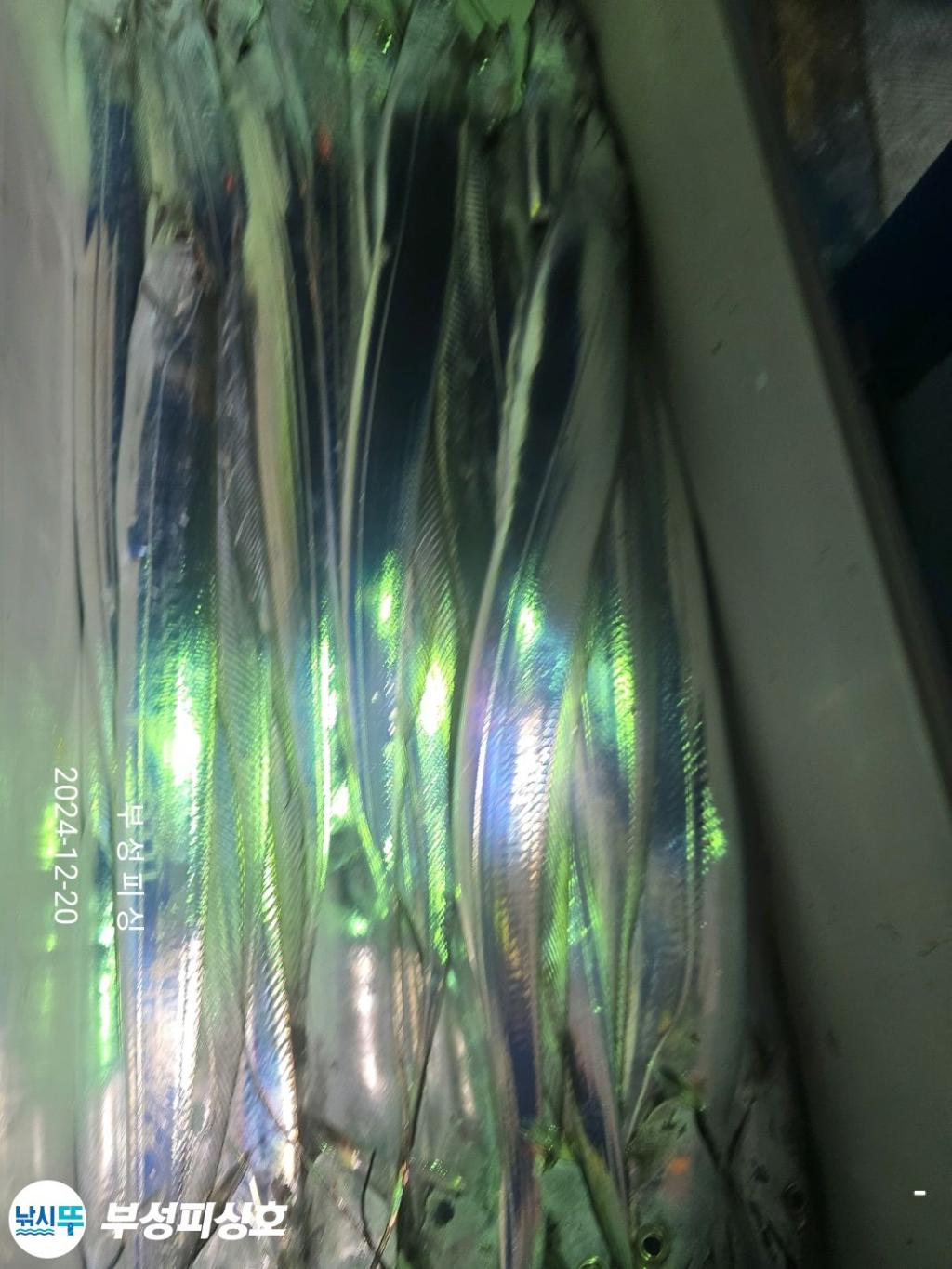 F2598574P1.jpg