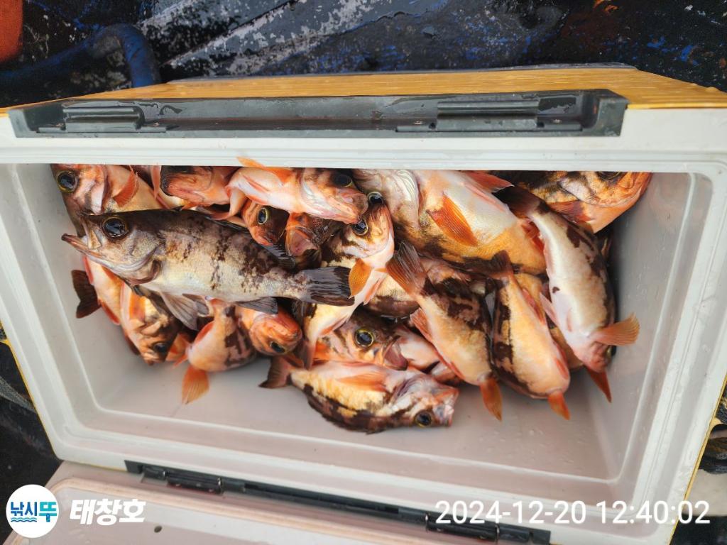 F2598718YK.jpg