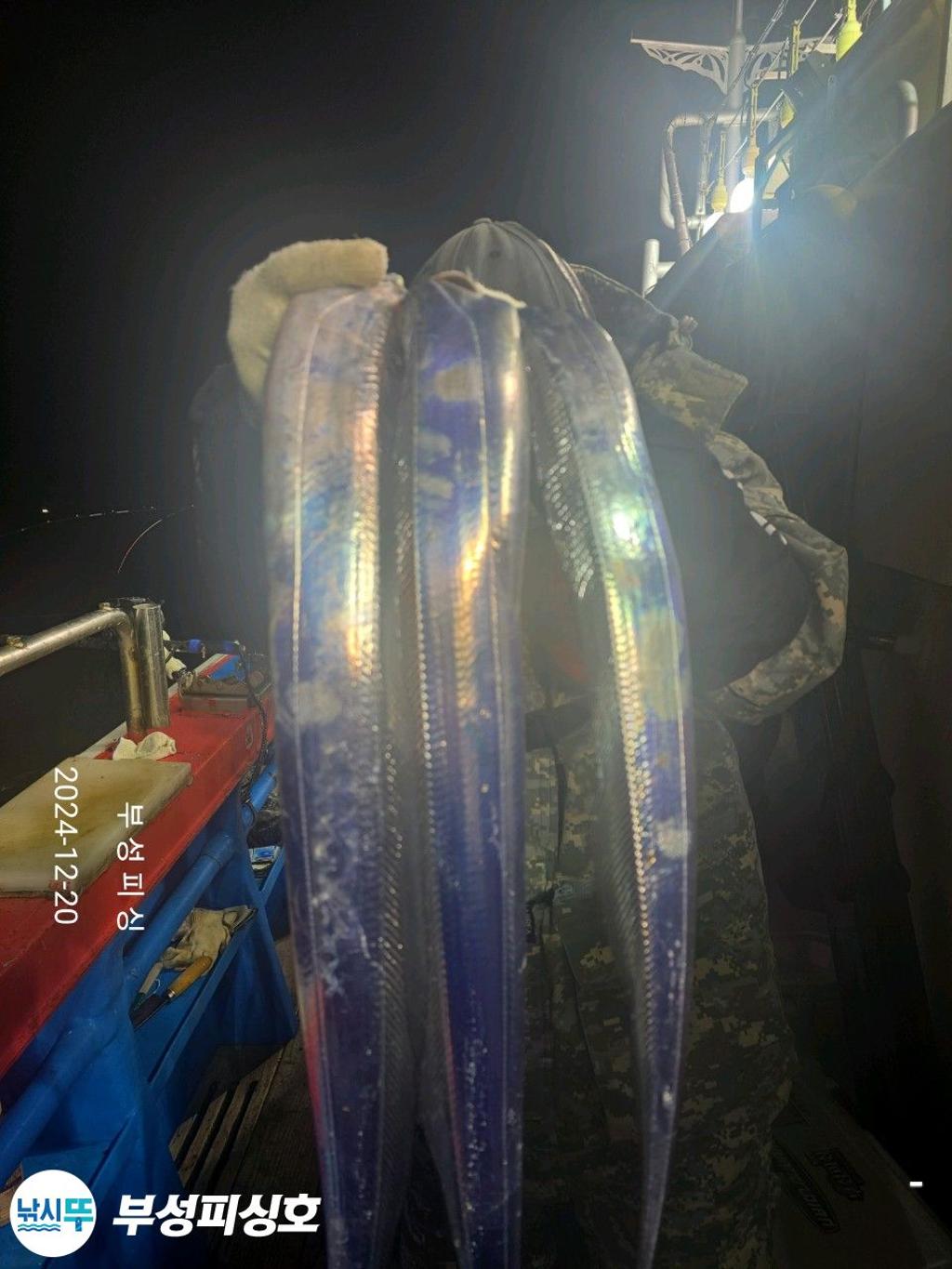 F2599306M4.jpg