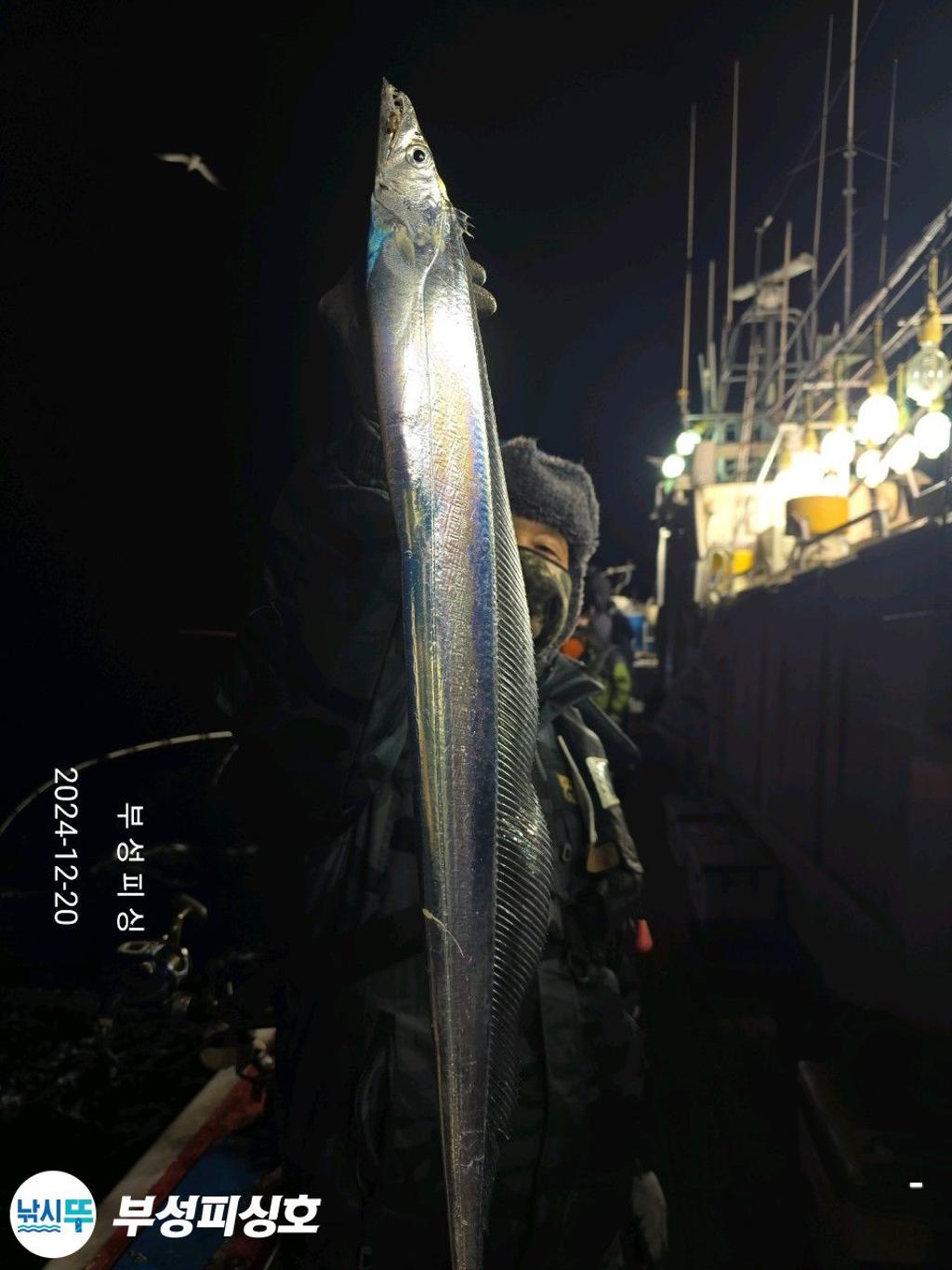 F2599315XB.jpg