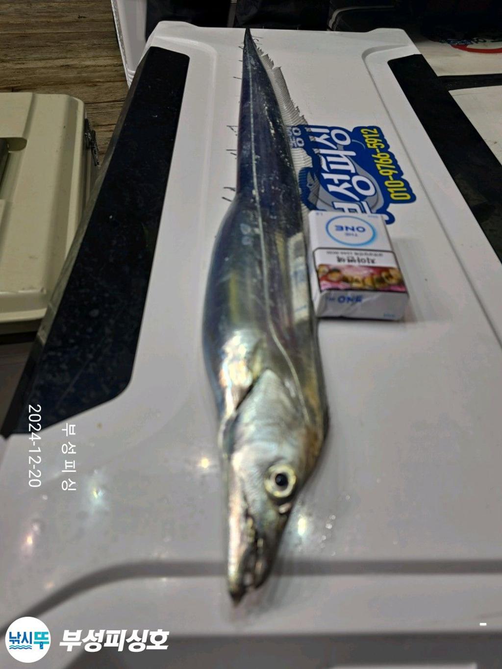 F2599321EQ.jpg