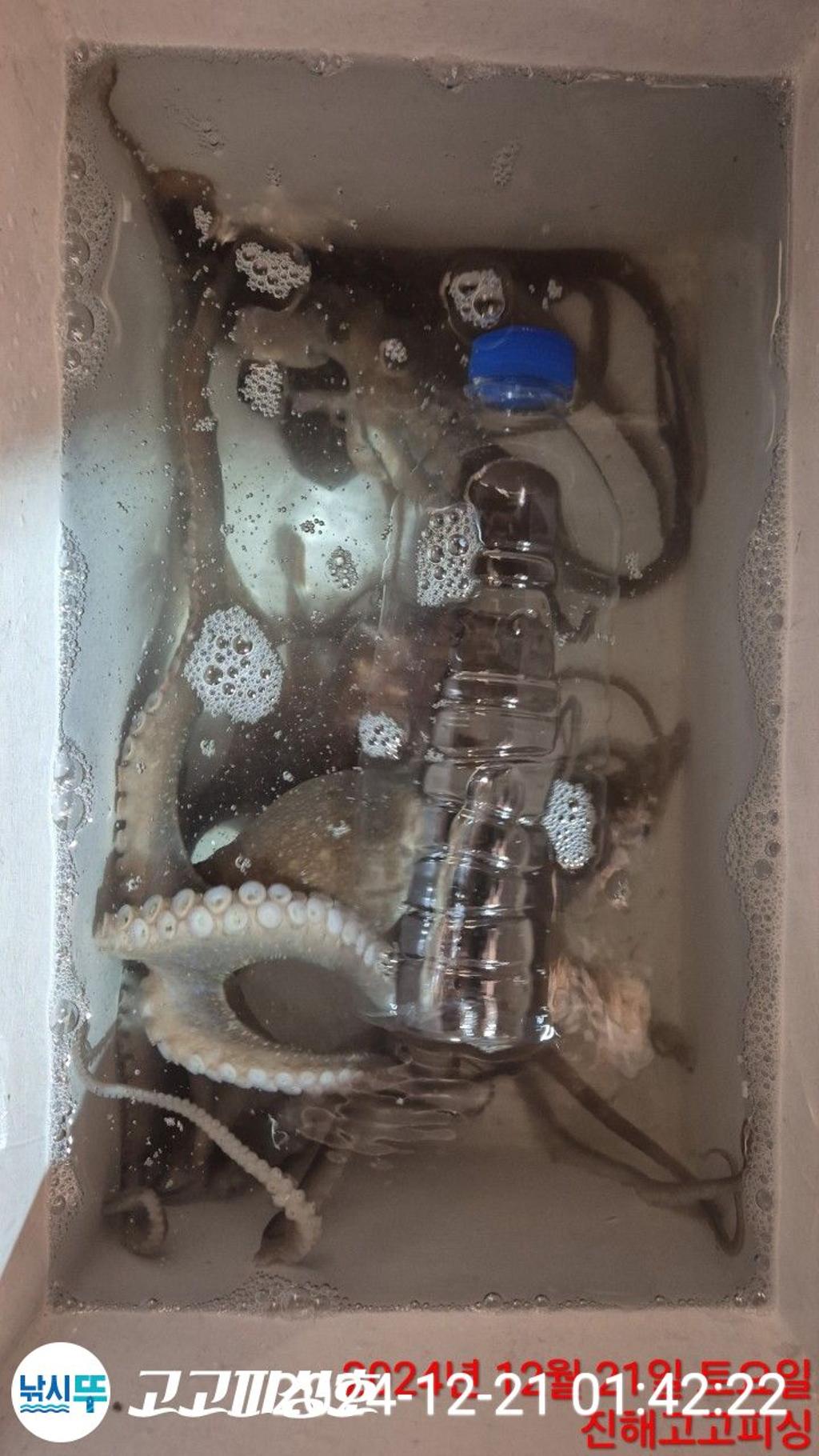 F2599250TI.jpg