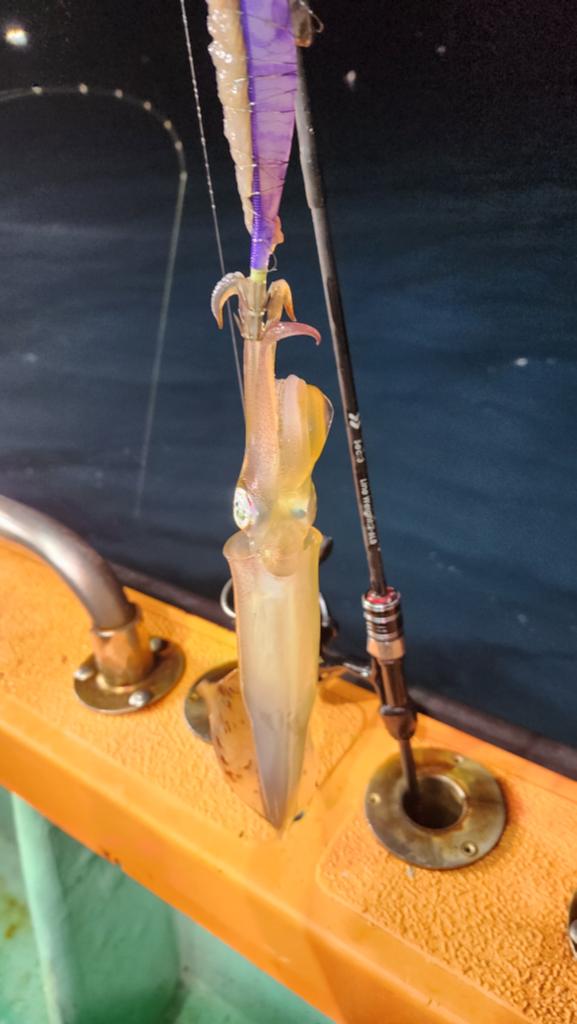 F2600281KC.jpg