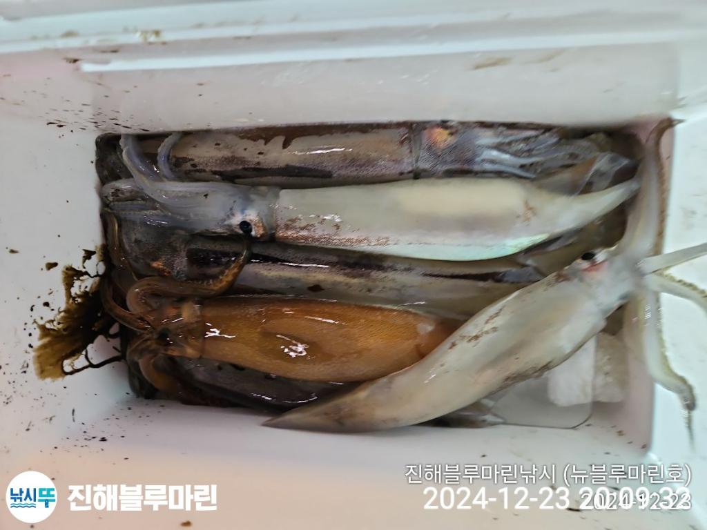 F260084360.jpg